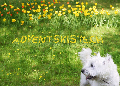 Adventskalender 2015